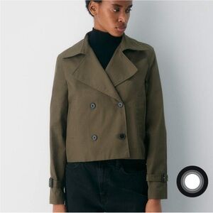 Aritzia esquire trench in olive